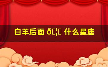 白羊后面 🦍 什么星座